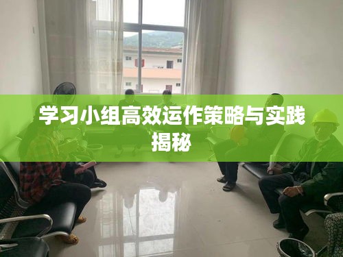 学习小组高效运作策略与实践揭秘