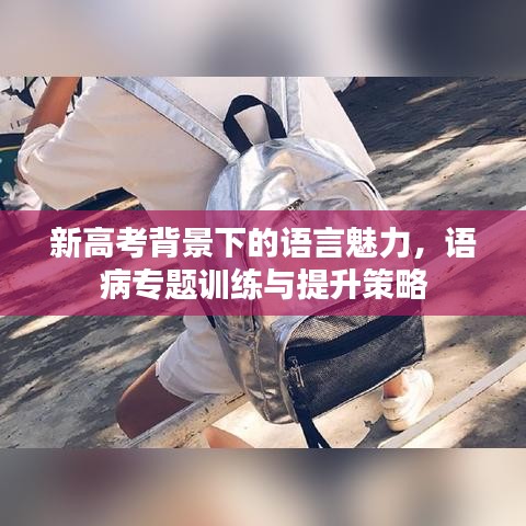 新高考背景下的语言魅力,语病专题训练与提升策略