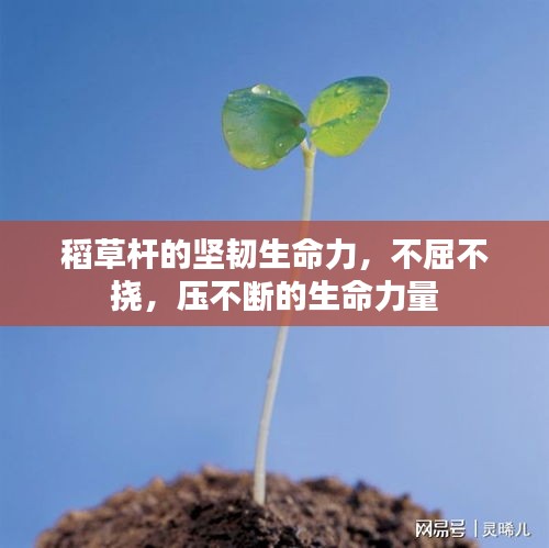 接连不断 第2页