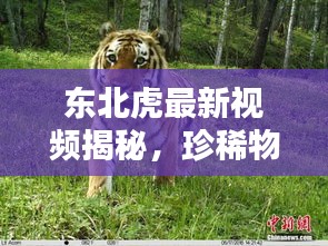朝乾夕惕 第3页