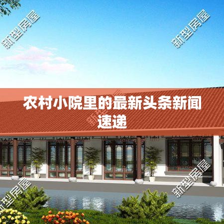 农村小院里的最新头条新闻速递
