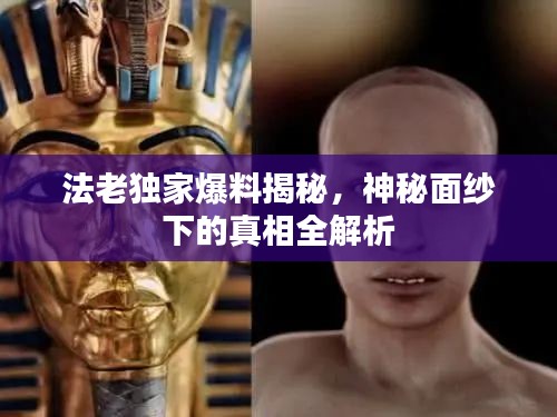 法老独家爆料揭秘,神秘面纱下的真相全解析