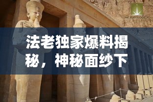 法老独家爆料揭秘,神秘面纱下的真相全解析