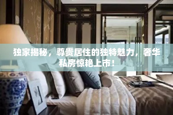 独家揭秘,尊贵居住的独特魅力,奢华私房惊艳上市!