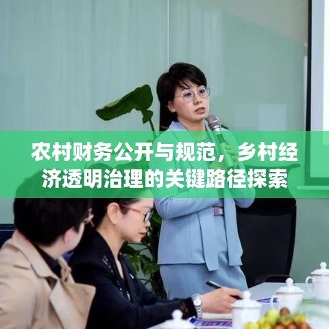 农村财务公开与规范,乡村经济透明治理的关键路径探索
