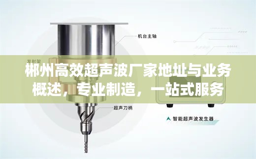 郴州高效超声波厂家地址与业务概述,专业制造,一站式服务