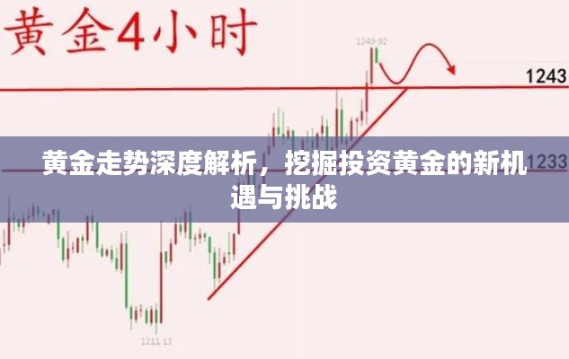 黄金走势深度解析,挖掘投资黄金的新机遇与挑战