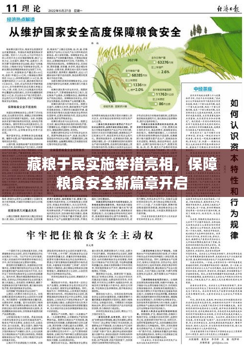 藏粮于民实施举措亮相,保障粮食安全新篇章开启