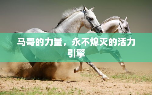 马哥的力量,永不熄灭的活力引擎