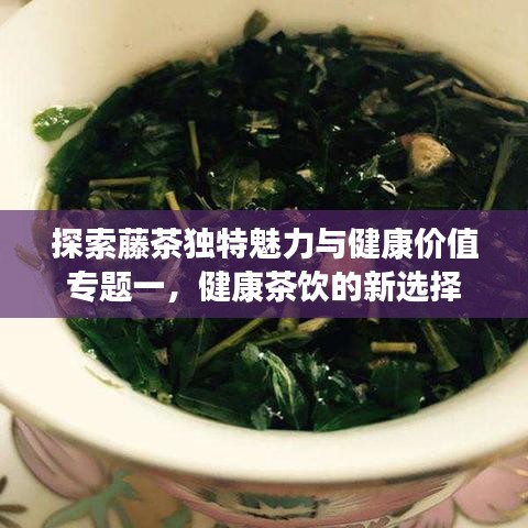 探索藤茶独特魅力与健康价值专题一,健康茶饮的新选择
