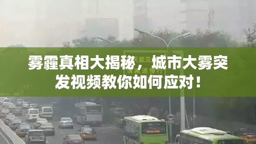 雾霾真相大揭秘,城市大雾突发视频教你如何应对!