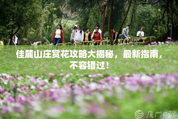 佳麓山庄赏花攻略大揭秘,最新指南,不容错过!
