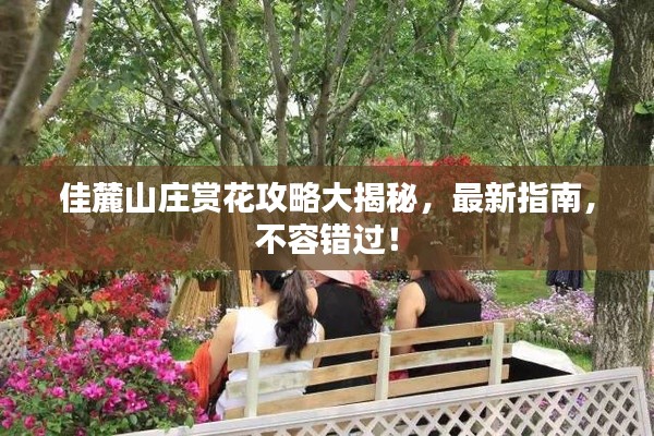 佳麓山庄赏花攻略大揭秘,最新指南,不容错过!