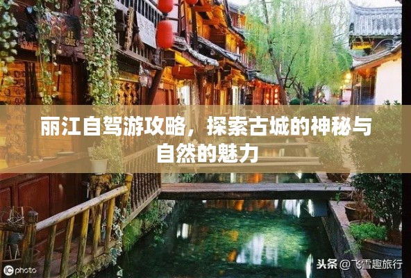 丽江自驾游攻略,探索古城的神秘与自然的魅力