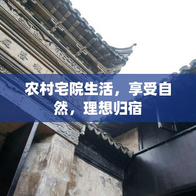 农村宅院生活,享受自然,理想归宿