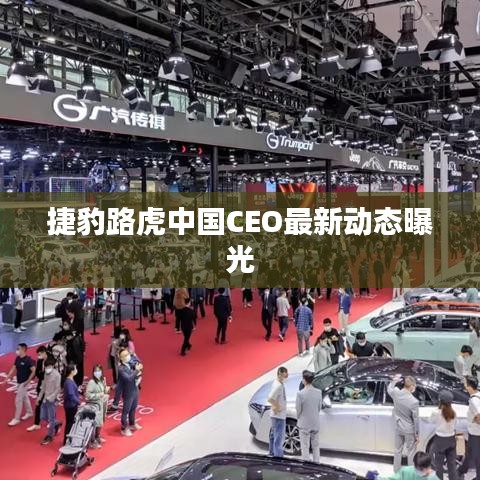 飞蛾扑火 第3页