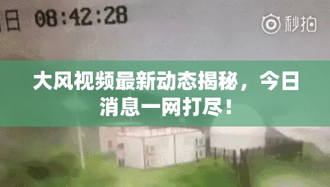 大风视频最新动态揭秘,今日消息一网打尽!