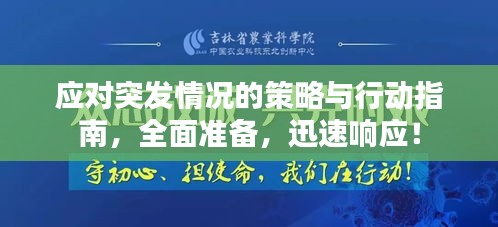 应对突发情况的策略与行动指南,全面准备,迅速响应!