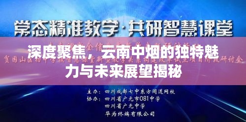 深度聚焦,云南中烟的独特魅力与未来展望揭秘