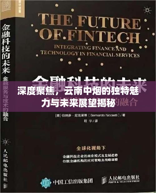 深度聚焦,云南中烟的独特魅力与未来展望揭秘
