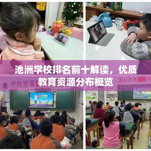 池洲学校排名前十解读,优质教育资源分布概览