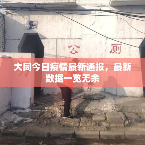 大同今日疫情最新通报,最新数据一览无余