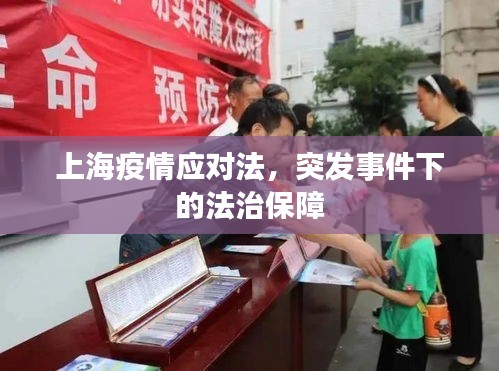 上海疫情应对法,突发事件下的法治保障