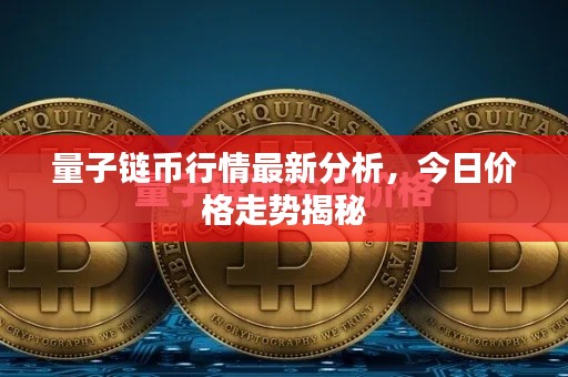 量子链币行情最新分析,今日价格走势揭秘