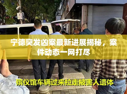 宁德突发凶案最新进展揭秘,案件动态一网打尽