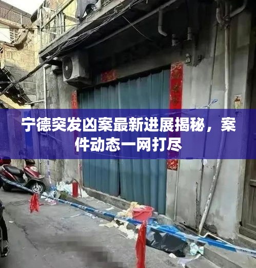 宁德突发凶案最新进展揭秘,案件动态一网打尽