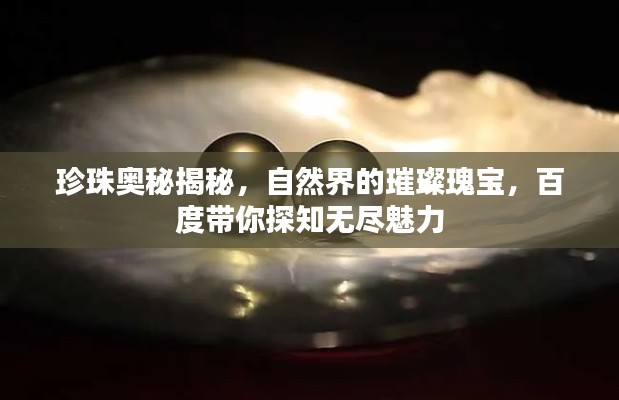 珍珠奥秘揭秘,自然界的璀璨瑰宝,百度带你探知无尽魅力