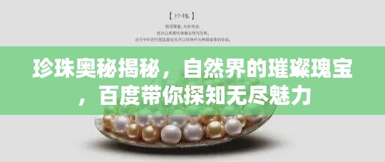 珍珠奥秘揭秘,自然界的璀璨瑰宝,百度带你探知无尽魅力