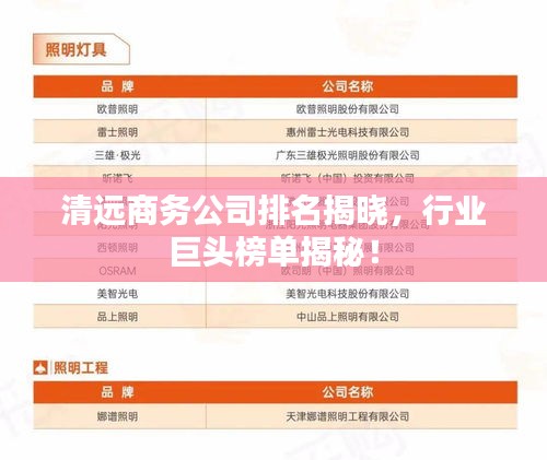 清远商务公司排名揭晓,行业巨头榜单揭秘!