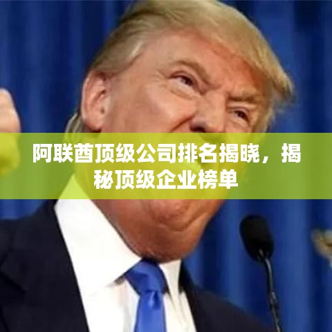 阿联酋顶级公司排名揭晓,揭秘顶级企业榜单