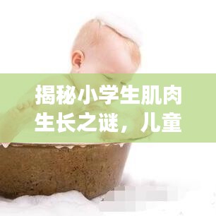 揭秘小学生肌肉生长之谜,儿童肌肉发育的奥秘探究