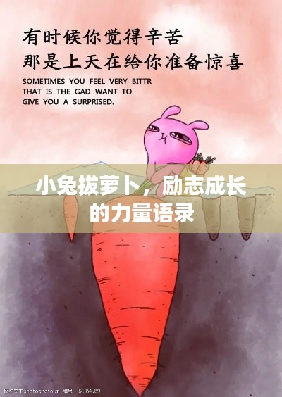 小兔拔萝卜,励志成长的力量语录