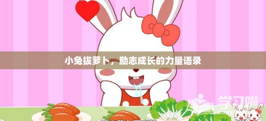 小兔拔萝卜,励志成长的力量语录