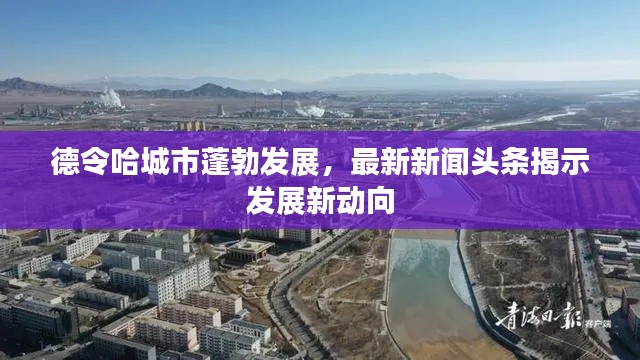 德令哈城市蓬勃发展,最新新闻头条揭示发展新动向