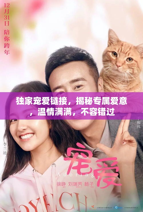 独家宠爱链接,揭秘专属爱意,温情满满,不容错过