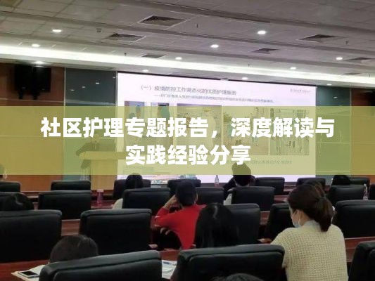 社区护理专题报告,深度解读与实践经验分享