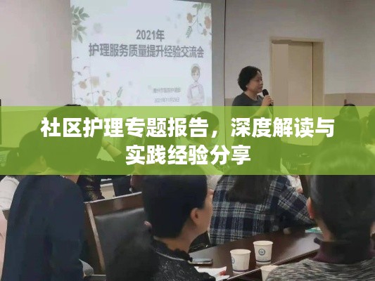 社区护理专题报告,深度解读与实践经验分享