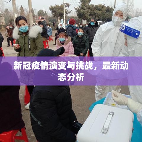 新冠疫情演变与挑战,最新动态分析
