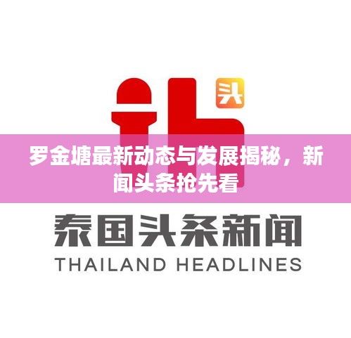 罗金塘最新动态与发展揭秘,新闻头条抢先看