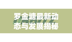 罗金塘最新动态与发展揭秘,新闻头条抢先看