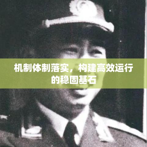 机制体制落实,构建高效运行的稳固基石