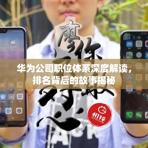 华为公司职位体系深度解读,排名背后的故事揭秘