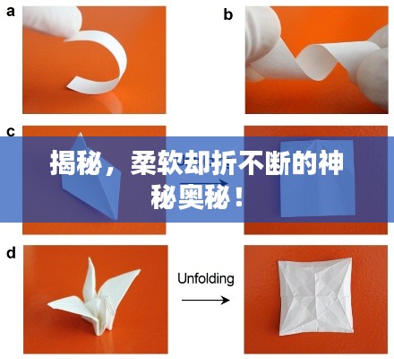 揭秘,柔软却折不断的神秘奥秘!