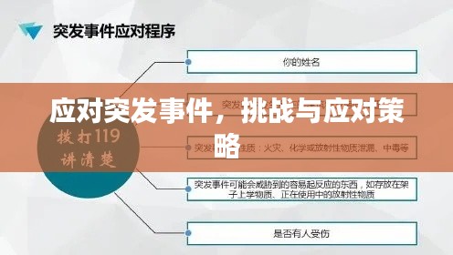 应对突发事件,挑战与应对策略