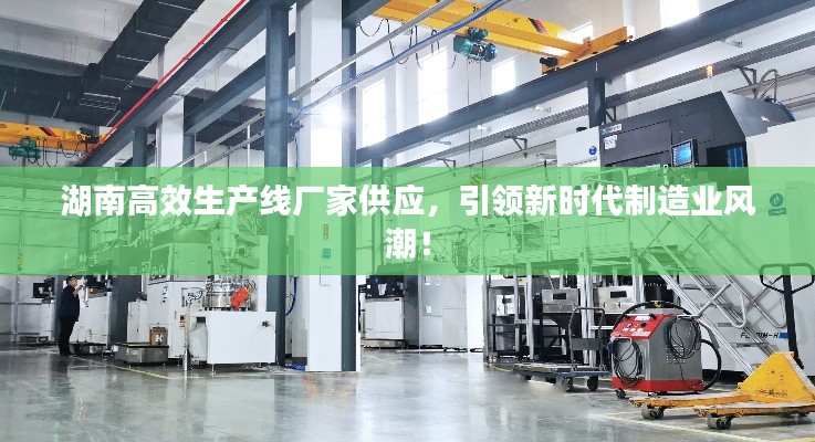 湖南高效生产线厂家供应,引领新时代制造业风潮!