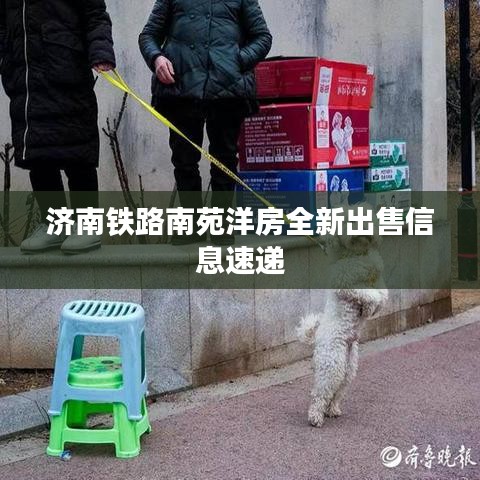 济南铁路南苑洋房全新出售信息速递